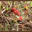 함양 갈비탕 이미지