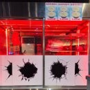 선진한우농장2 | 세종 나성동 고깃집 대장육 솔직 후기 | 200g 두툼 선진포크 + 한우 1등급 가족 외식 정답!