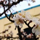 김해건설공업고등학교 이미지