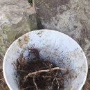 고성농장 이미지