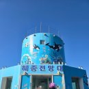 천부해중전망대 | [울릉도/북면] 울릉도아이랑가볼만한곳 " 천부해중전망대 "