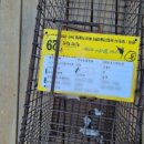 대덕정미소 이미지