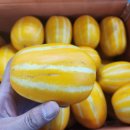 무지개망고&amp;성주 참외 가정용 &amp;완숙토마토 &amp;흑토마토&amp;대추방울토마토&amp;함양부사!!!!! 이미지