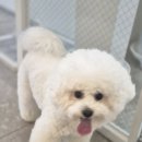 보담동물의료센터 이미지