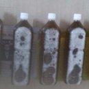 신전농장 이미지