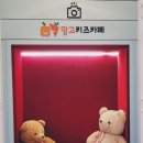 망고키즈카페 병점점 이미지