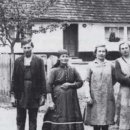 신원농장 이미지