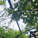 위미쉼팡 이미지