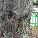 수산리-5 이미지