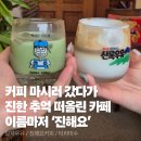 태극나전 | 진해 비올때 가기좋은 레트로 감성카페 [진해요] 내돈내산 후기 | 커피도 추억도 '진해요'