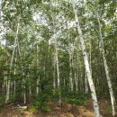 금학산관광농원 이미지