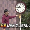 샌드위치 & 샐러드 이미지