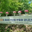 강학2리 이미지