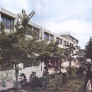 중앙초등학교2 이미지