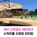 스카이파크 | 제주 신화월드 워터파크 스카이풀 수영장 후기