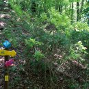 상전면행정복지센터 이미지