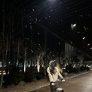 오덕3세천 | 드디어 봄이 찾아온 3월 4월 밀린 일상 기록