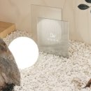 다원헤어 이미지