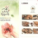 지리산황금나무 이미지