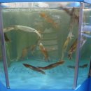 해미수산 이미지