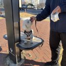 (주)북대구IC주유소 | 대구 강아지 훈련, 교정보다 먼저 원인을 알아야 합니다