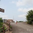 제주 안덕계곡 상록수림 이미지