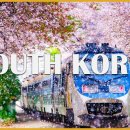 Wonders of SOUTH KOREA🌞The Most Amazing Places In SOUTH KOREA🌍Travel Vide 이미지