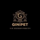 지니펫 이미지