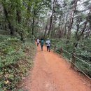 조례호수공원 이미지