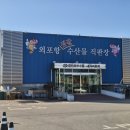 재형호 | [내돈내먹] 인천강화 외포항젓갈수산물 직판장 회 포장 260307