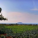 한림축사 이미지