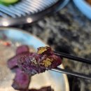 금송아지 | 강릉 맛집 금송아지 내 돈 내산 후기