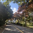 호텔카라 | [강서] 메이필드 호텔 결혼식 하객 후기ㅣ메이필드 호텔 카라홀ㅣ메이필드 호텔 가을 결혼식