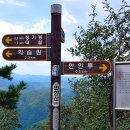 8월 16일 토요당일 -＜숨겨진우리산2곳/대전8경＞- 대전 구봉산+만인산+상소동돌탑 신청안내(28인승/31인승) 이미지