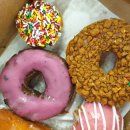 문’s도넛 이미지