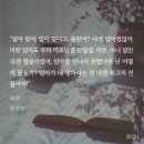 녹연 이미지