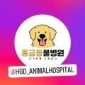 홍금동물병원 이미지