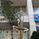 무한비상의꿈Ⅰ 이미지