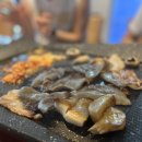 우다다애견 이미지