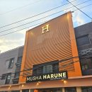 하루네(harune)