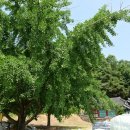 병산사 이미지