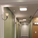 지노메디 이미지