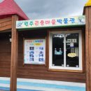 원주곤충마을박물관 | 원주가볼만한곳 원주곤충마을박물관 내돈내산후기