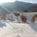 산골농부네 이미지