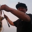 애니카랜드삼산점 이미지