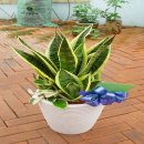 주은희산부인과의원 이미지