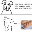 구떼 이미지