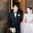 웨스턴베니비스 이미지