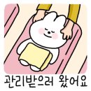 카앤스킨 이미지
