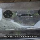 수국삽목하기 이미지